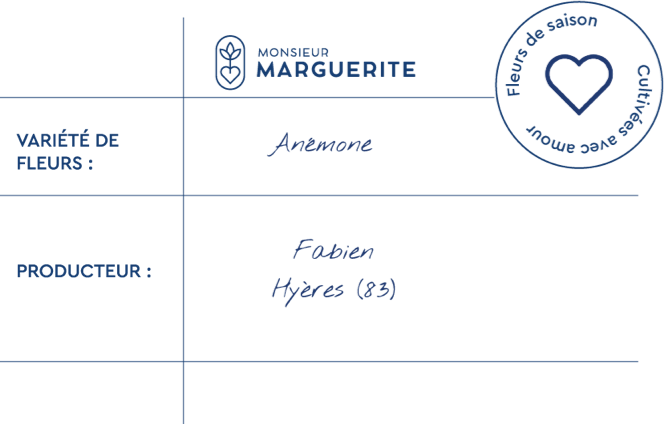 Informations Anémones