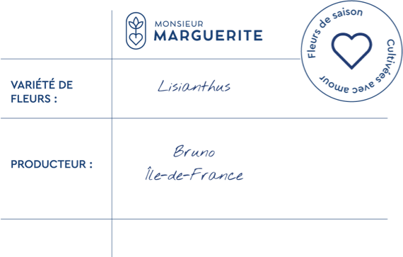 Informations Lisianthus