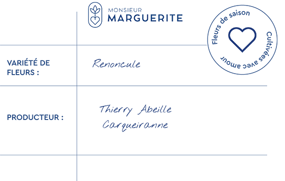 Informations Renoncules