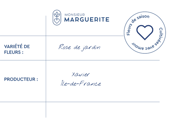 Informations Rose de jardin