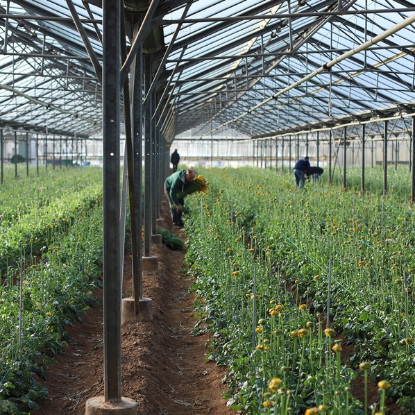 Une production 100% française