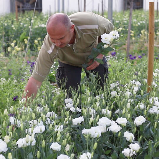 12 variétés au fil des saisons