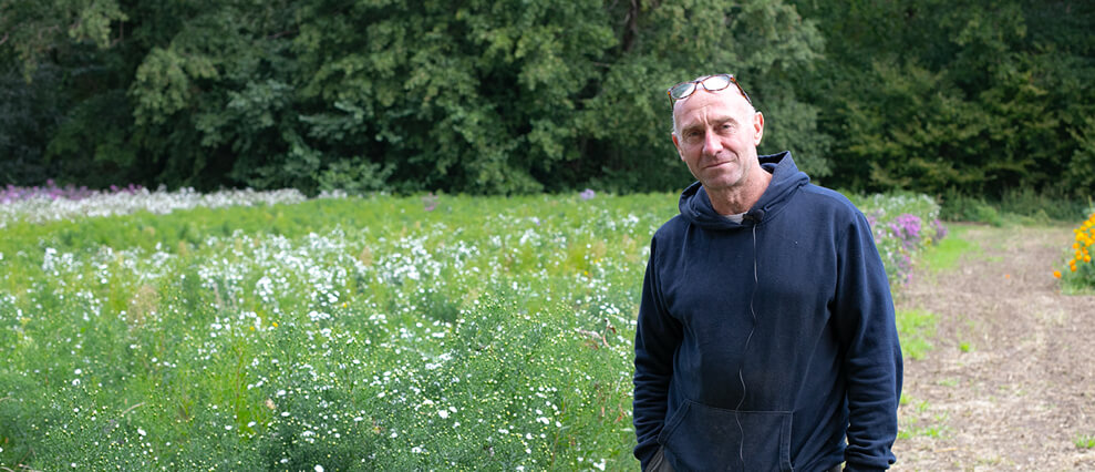 Les champs de Didier