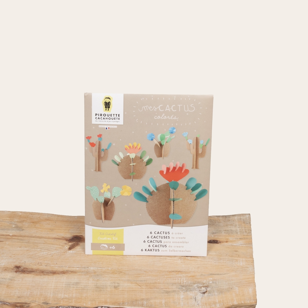 Kit Créatif - Mes Cactus colorés