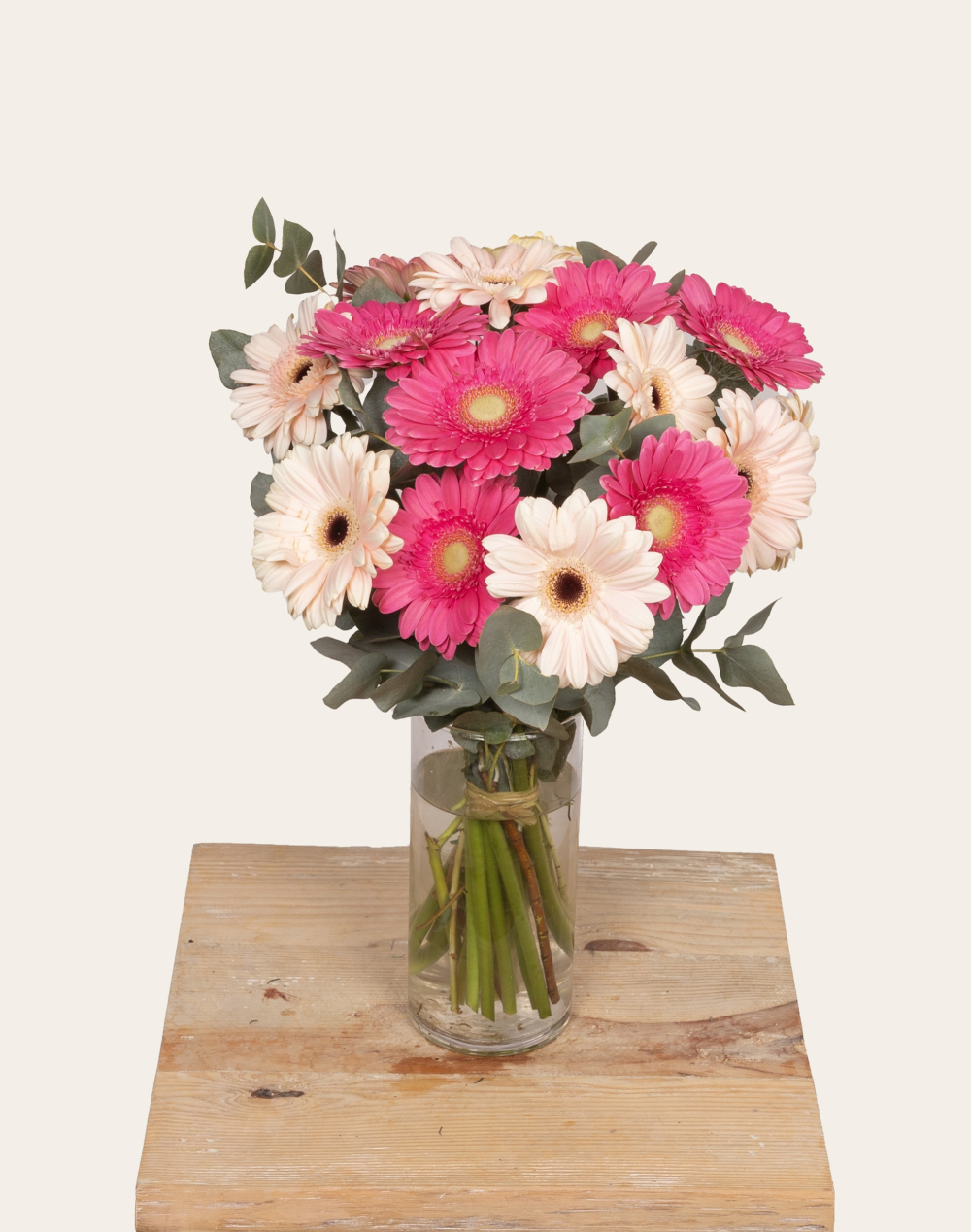 Pack Anniversaire - Bouquet de Germinis