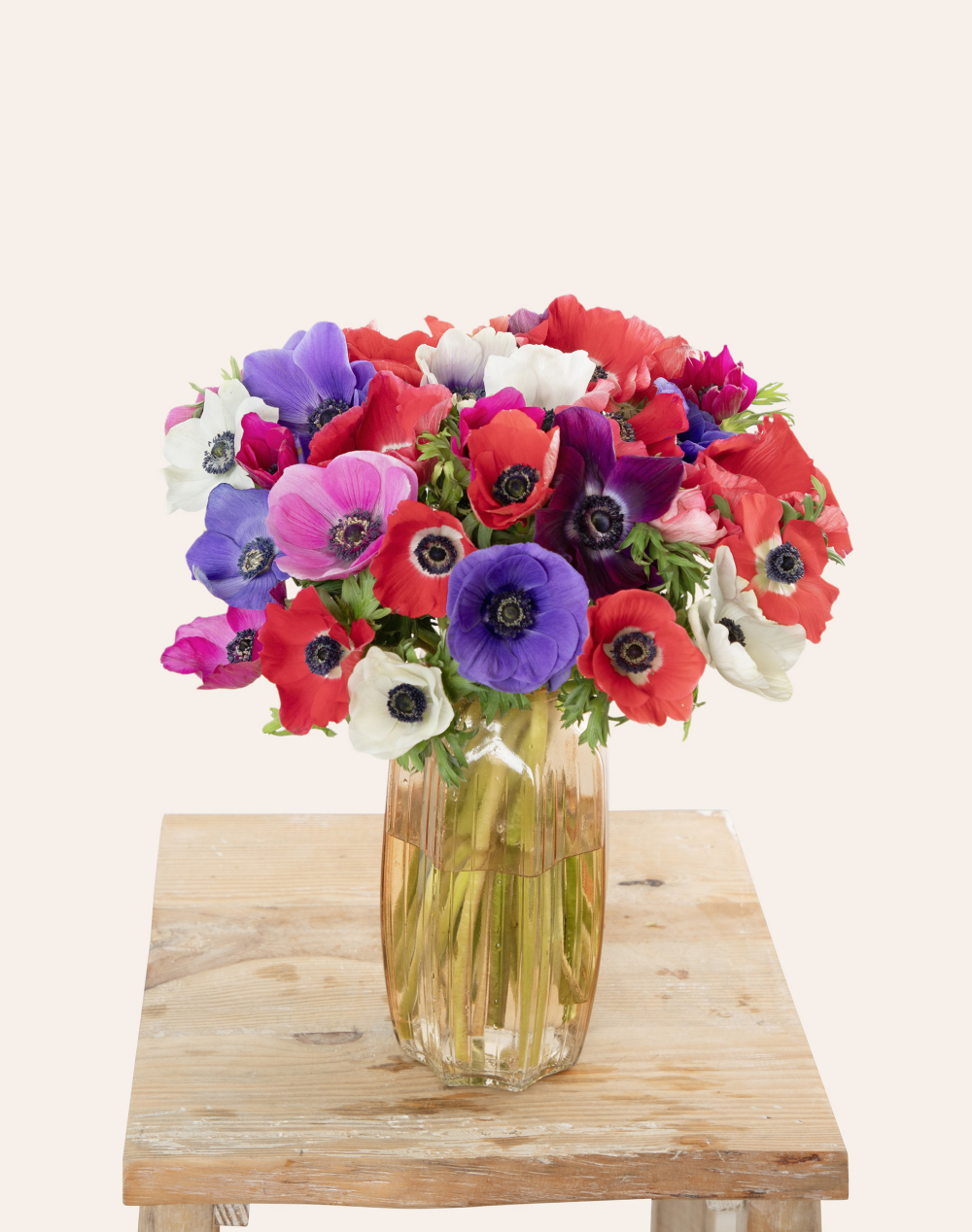 Botte surprise d'Anémones