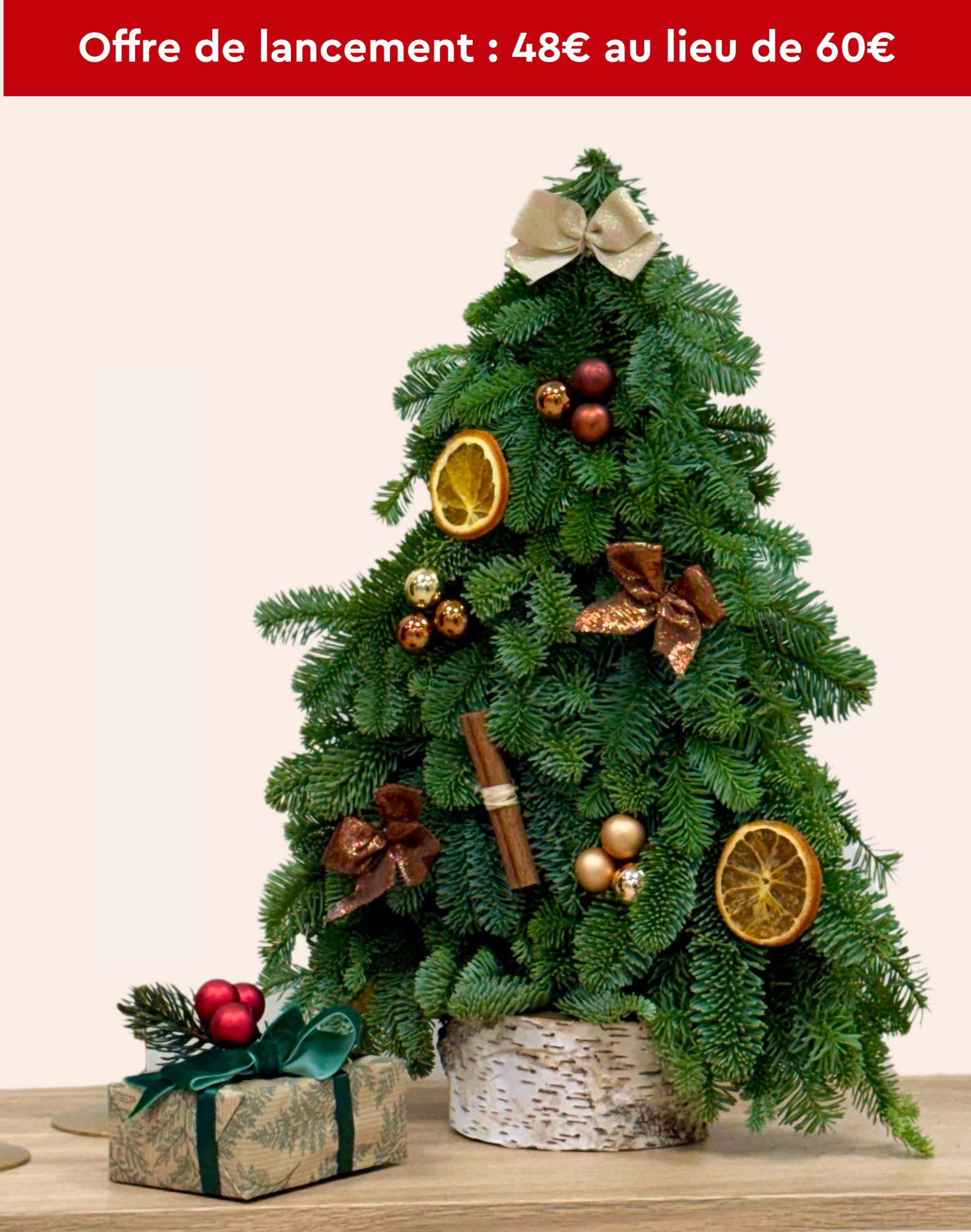 Petit sapin de Noël