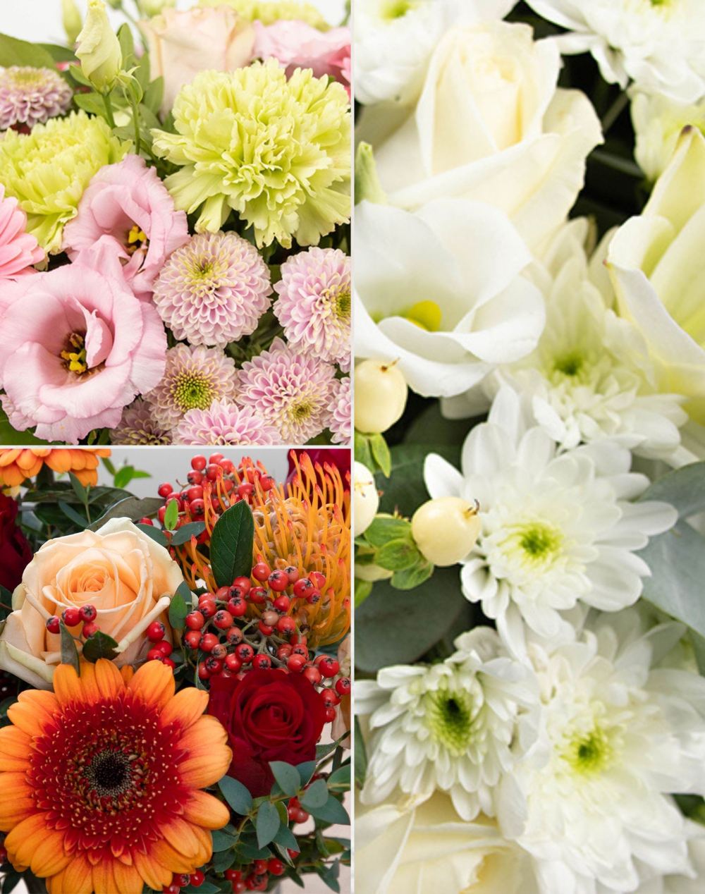 Dessus de cercueil & raquette