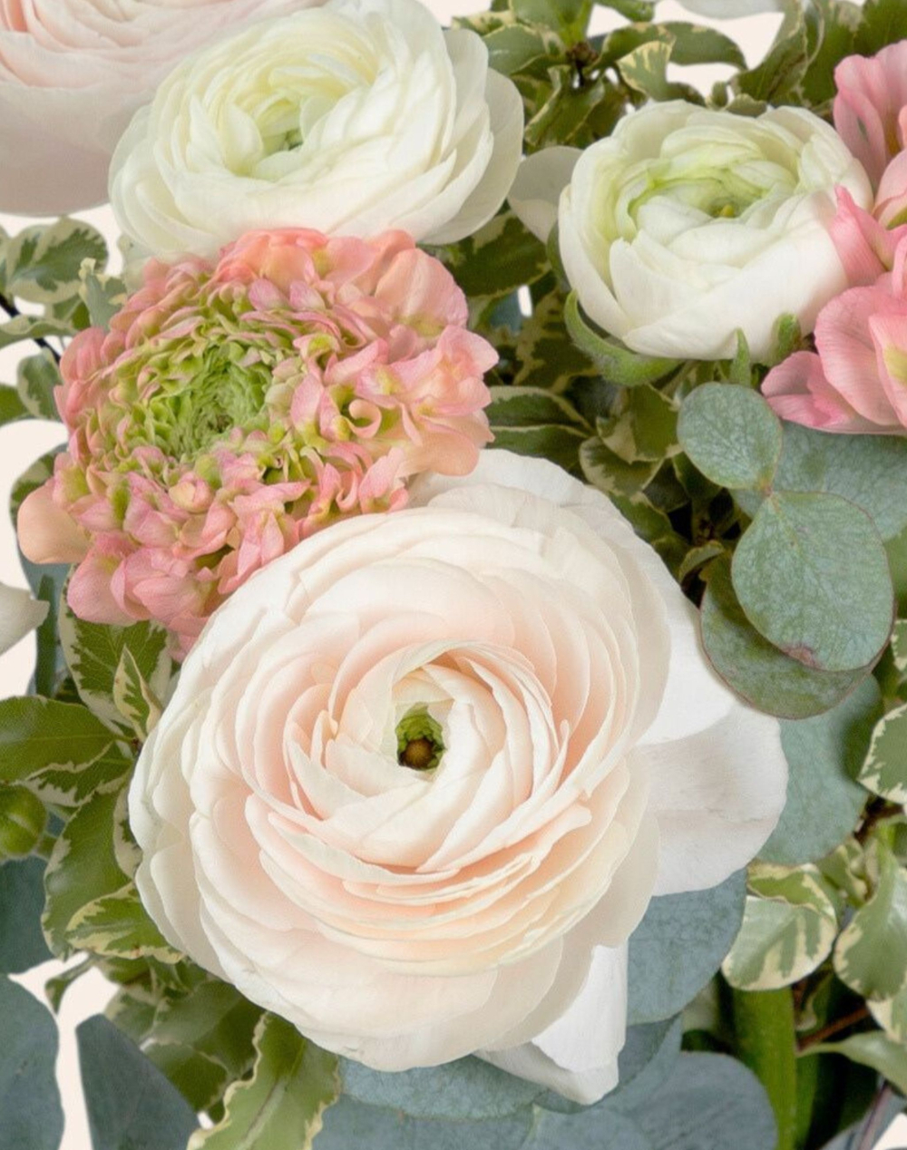 Bouquet de Renoncules surprises