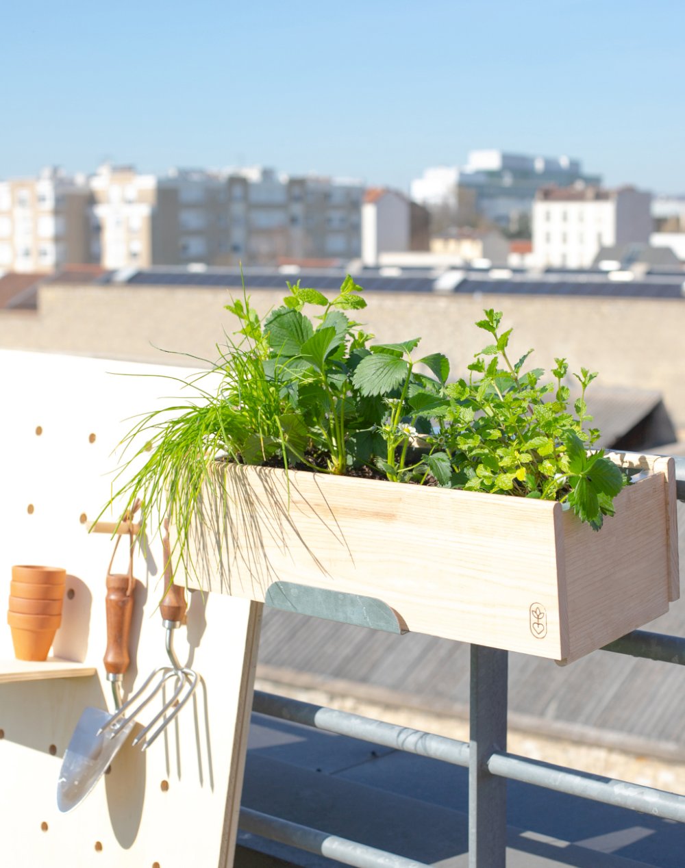 Jardinière et ses 8 plantes - Mojito Fraise