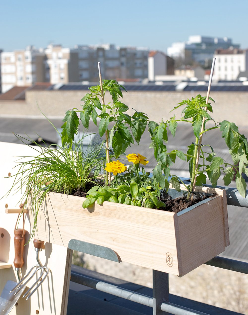 Jardinière et ses 6 plantes - Tomate Basilic