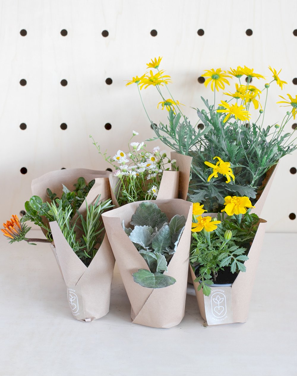 Assortiment de 6 plantes - Plein Soleil