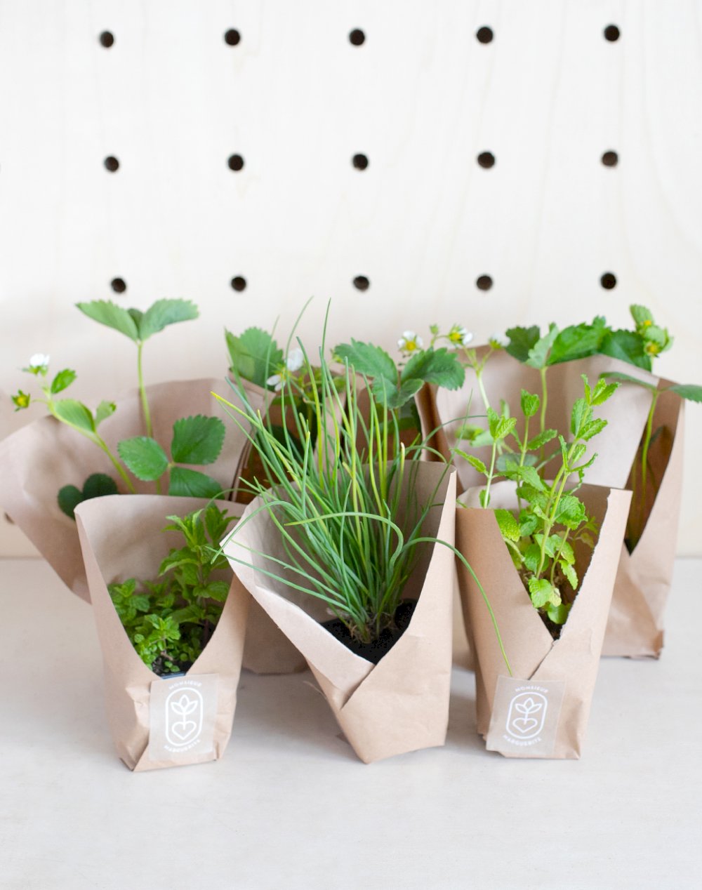 Assortiment gourmand de 8 plantes - Mojito Fraise