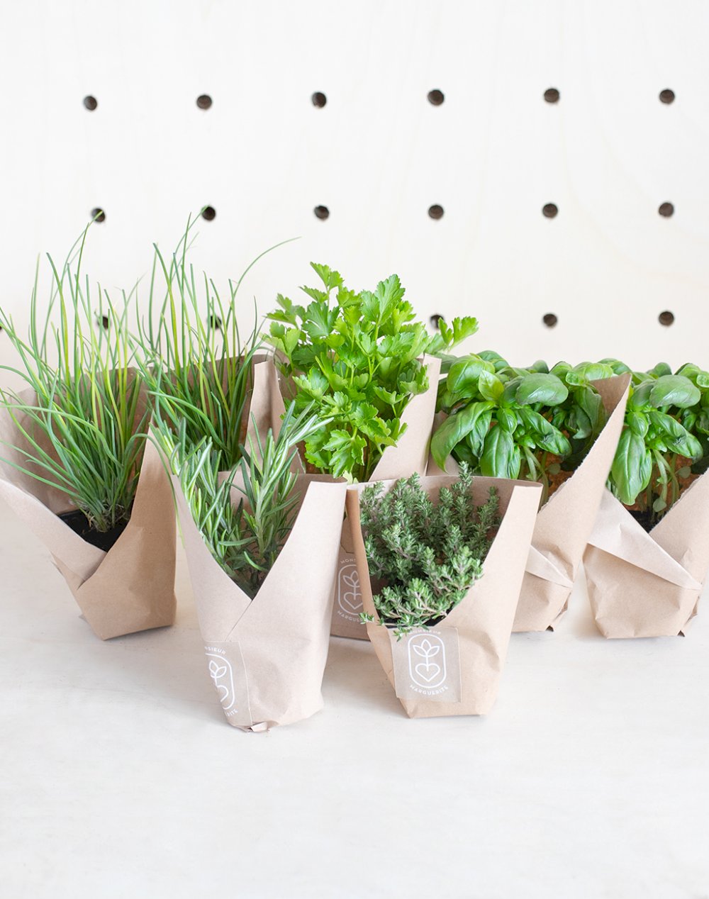 Assortiment de 7 plantes Aromatiques