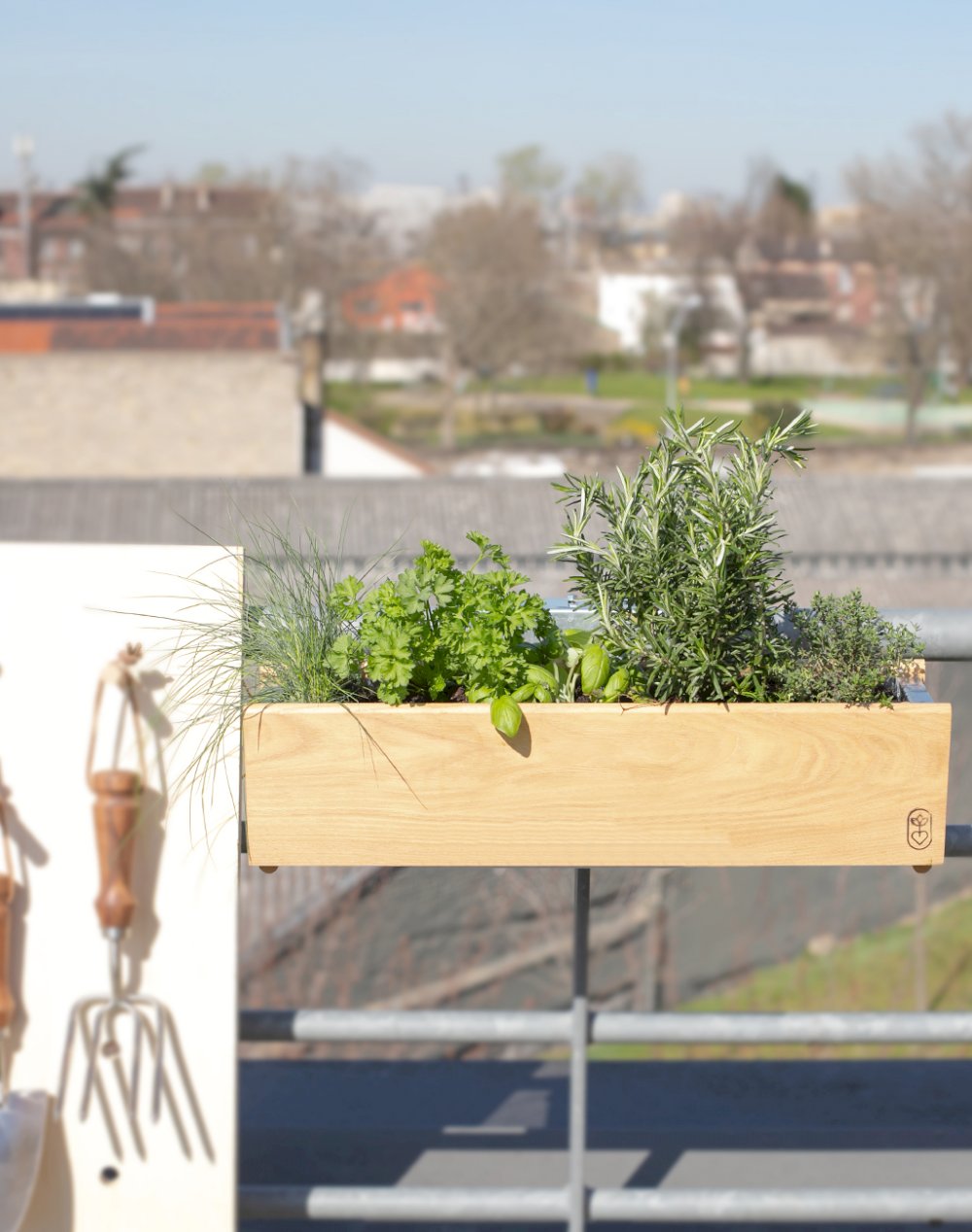 Jardinière et ses 5 plantes aromatiques