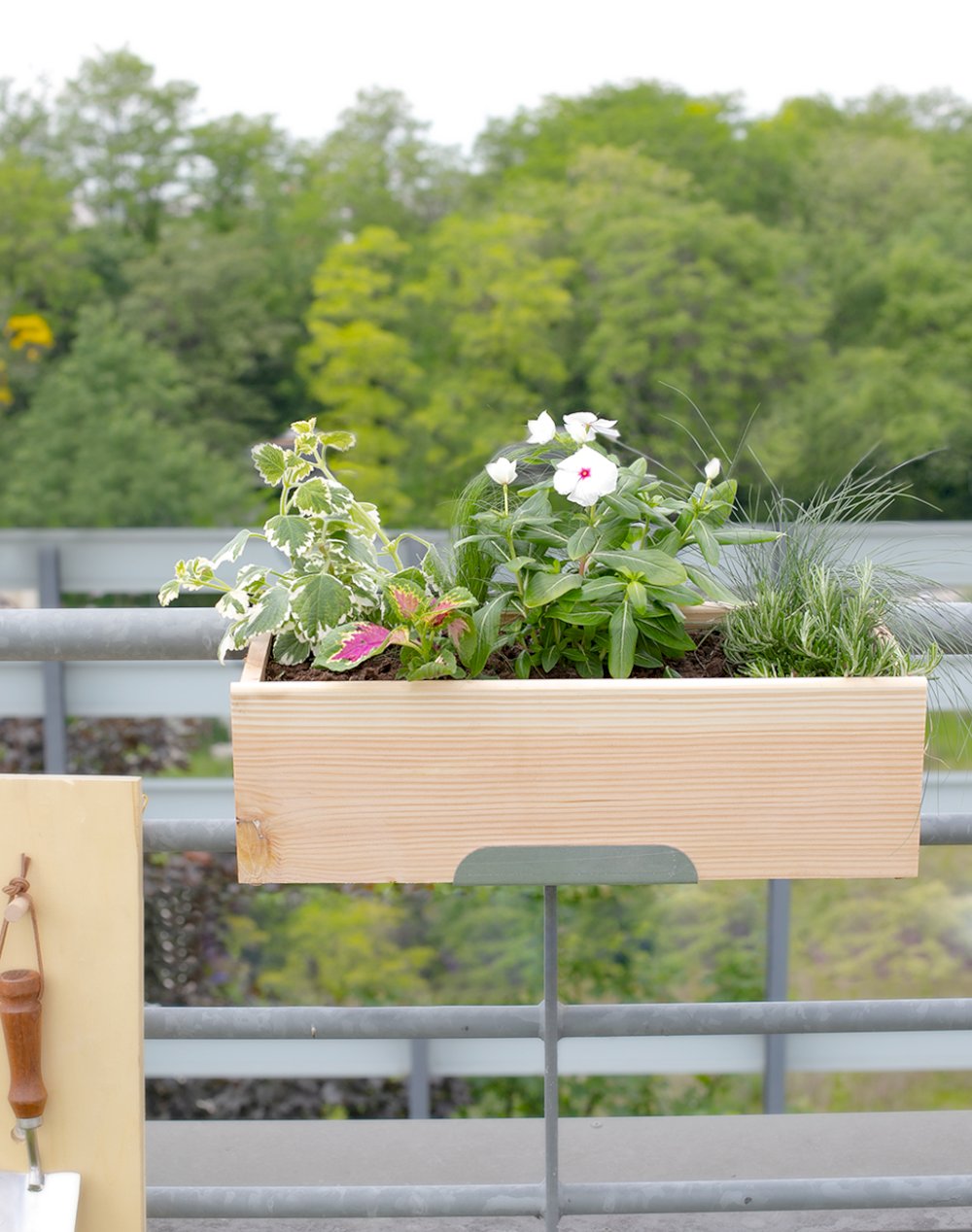 Jardinière et ses 6 plantes - Paysage de Pampa