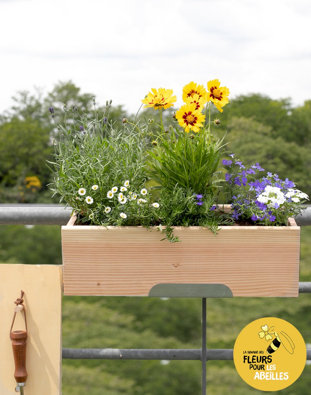 Jardinière et ses 6 plantes - Mellifères