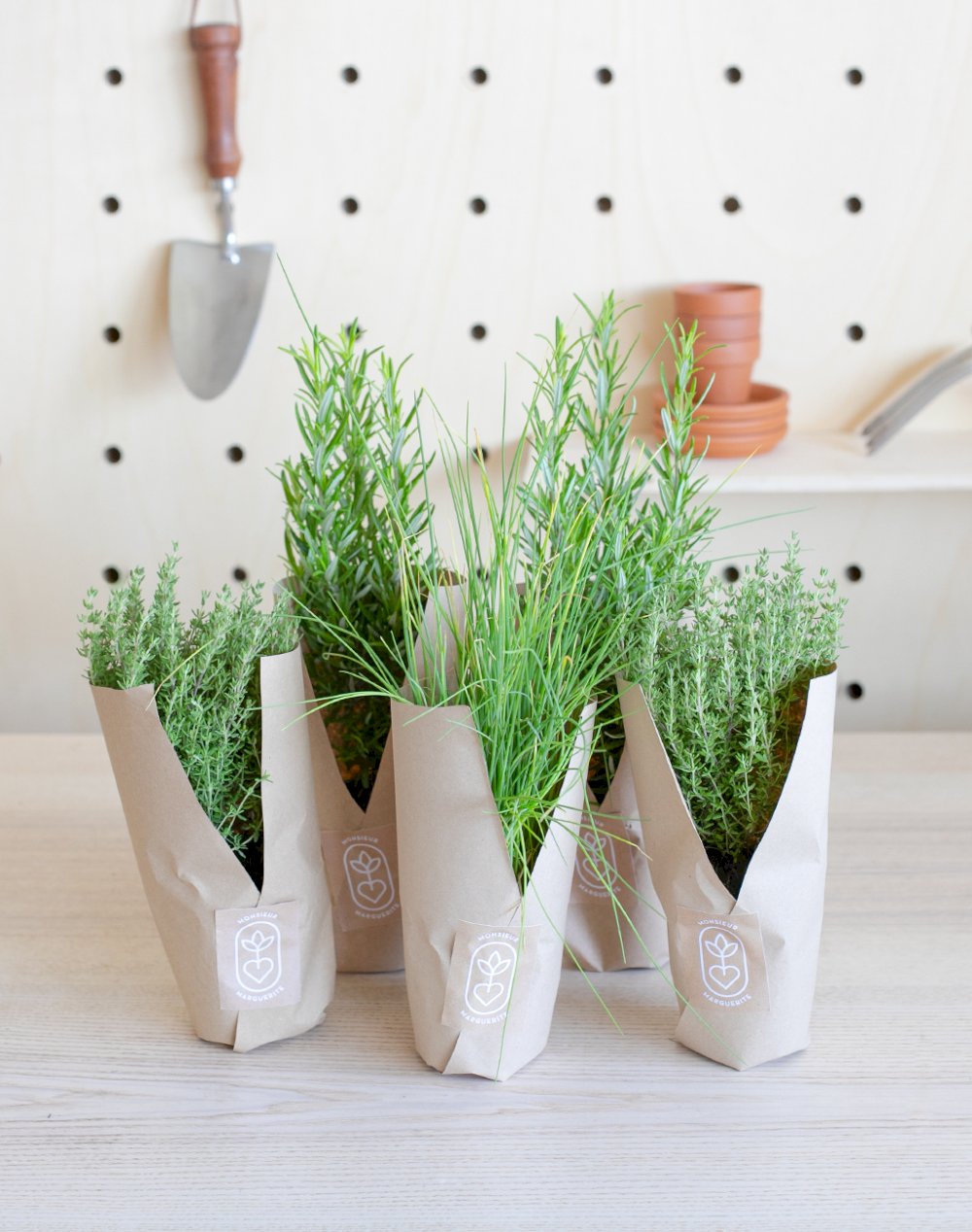 Assortiment de 5 plantes - Barbecue