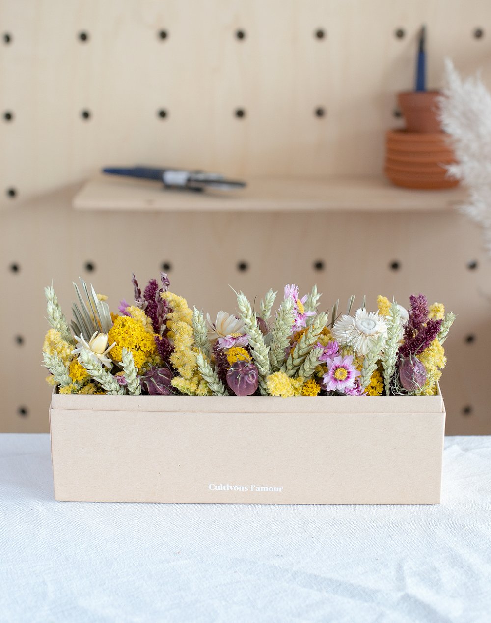 Mon Grand Jardin Fleuri - Mimosa