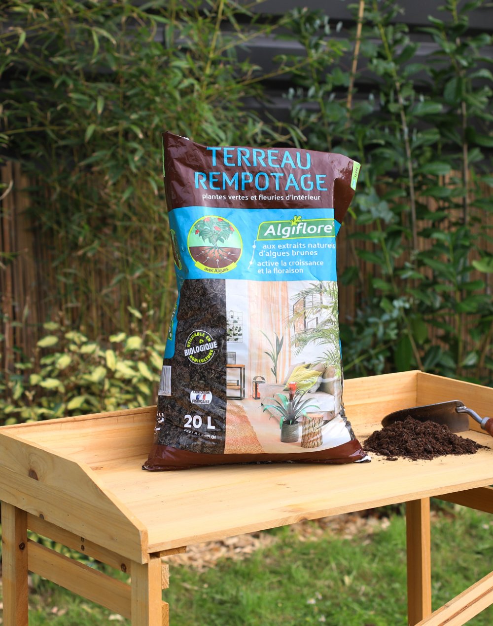 Terreau - Plantes vertes et fleuries