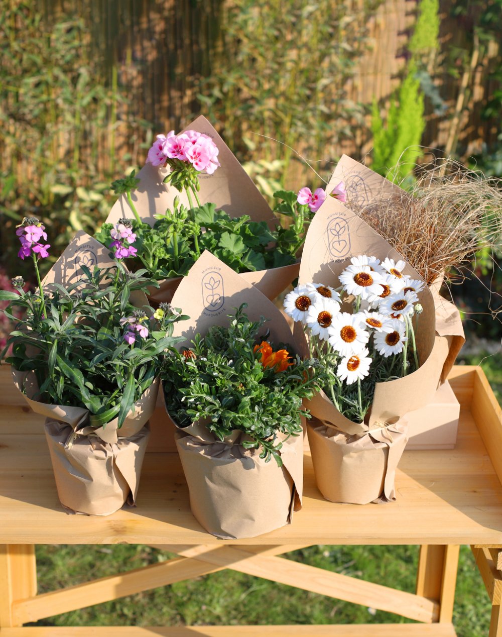 Assortiment de 5 plantes pour massifs de jardin - Rose et orange