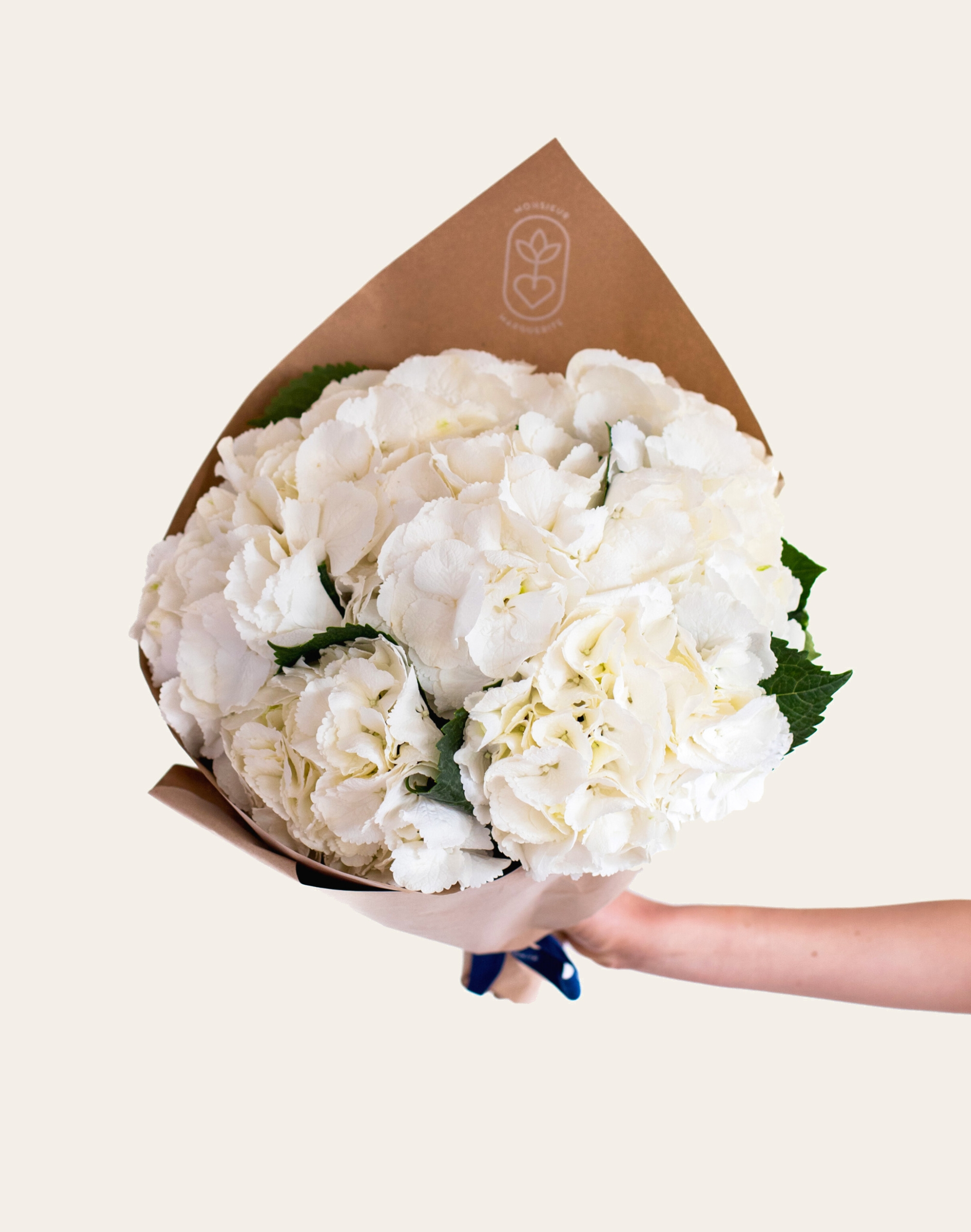 Botte d'Hortensias blancs