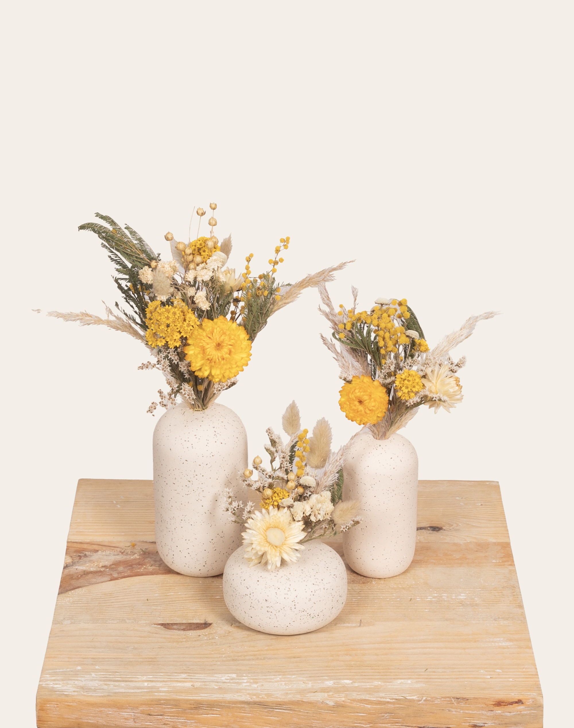 Trio de soliflores - Mimosa