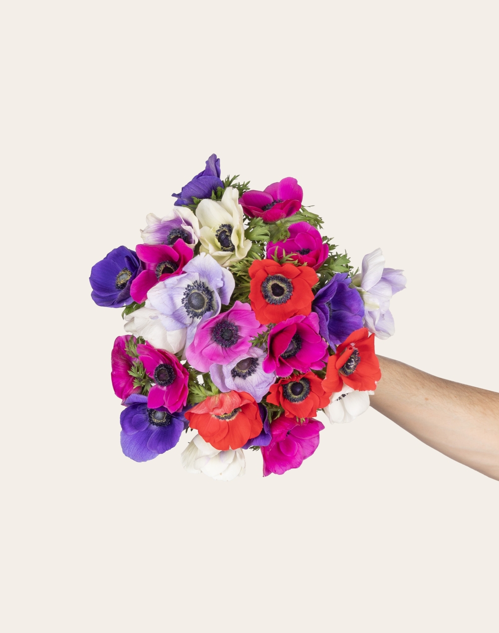 Botte surprise d'Anémones - Mamie chérie