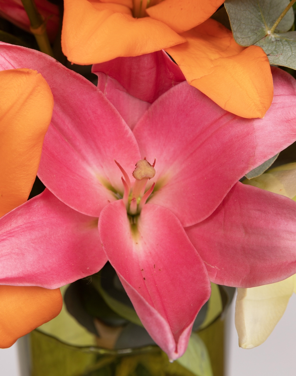 Bouquet de Lys - Multicolore