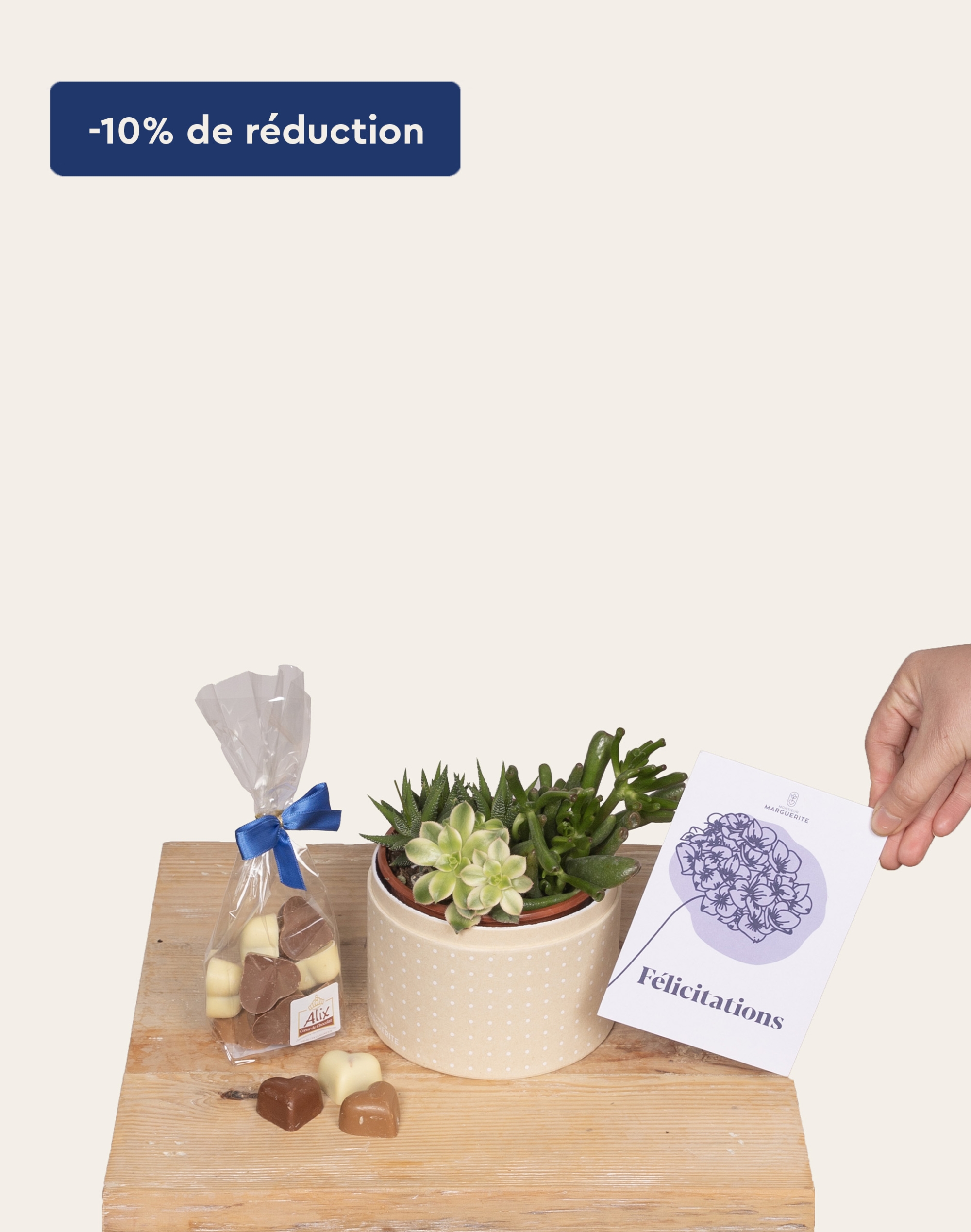 Pack Félicitations - Composition de plantes grasses