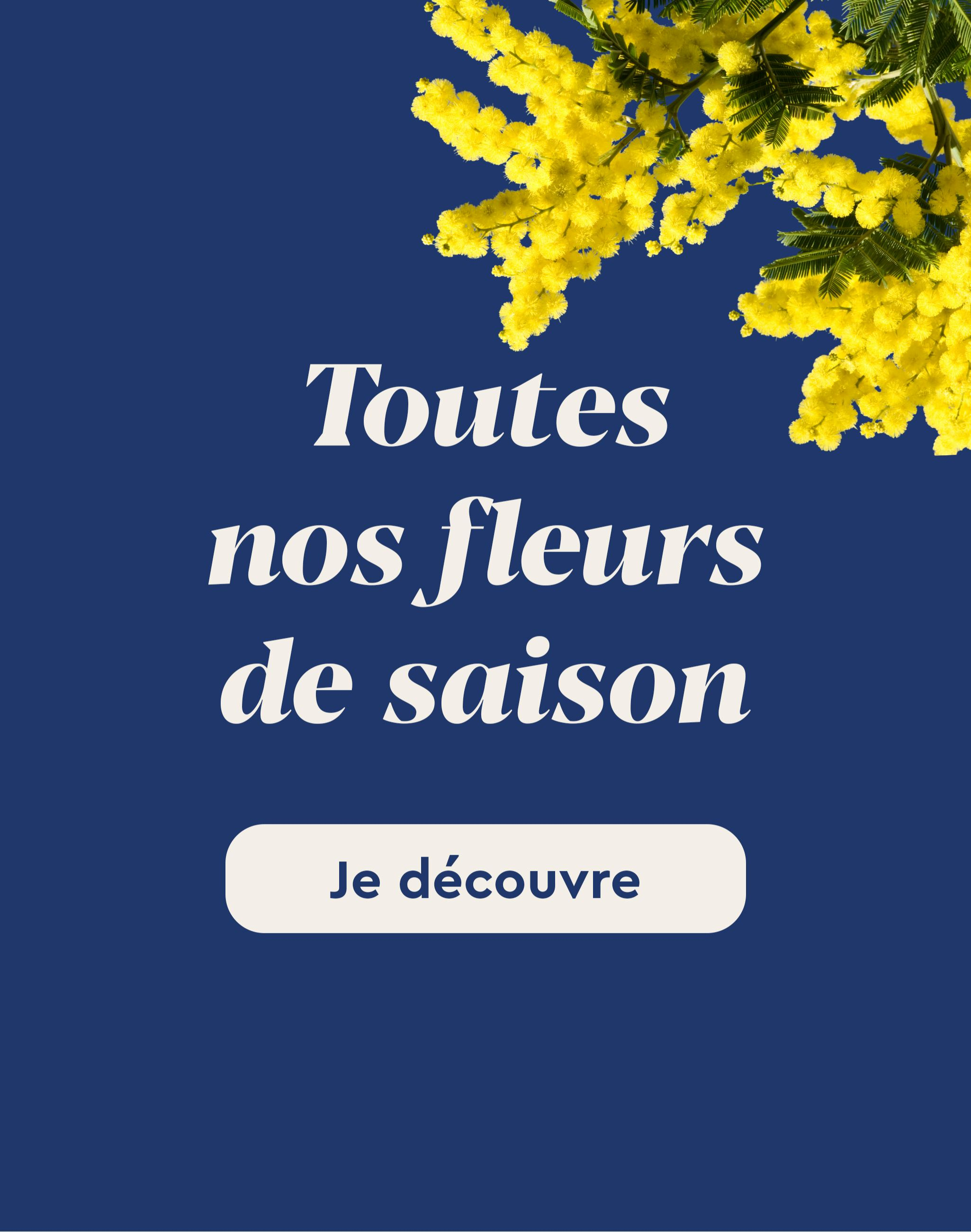 Toutes nos fleurs de saison