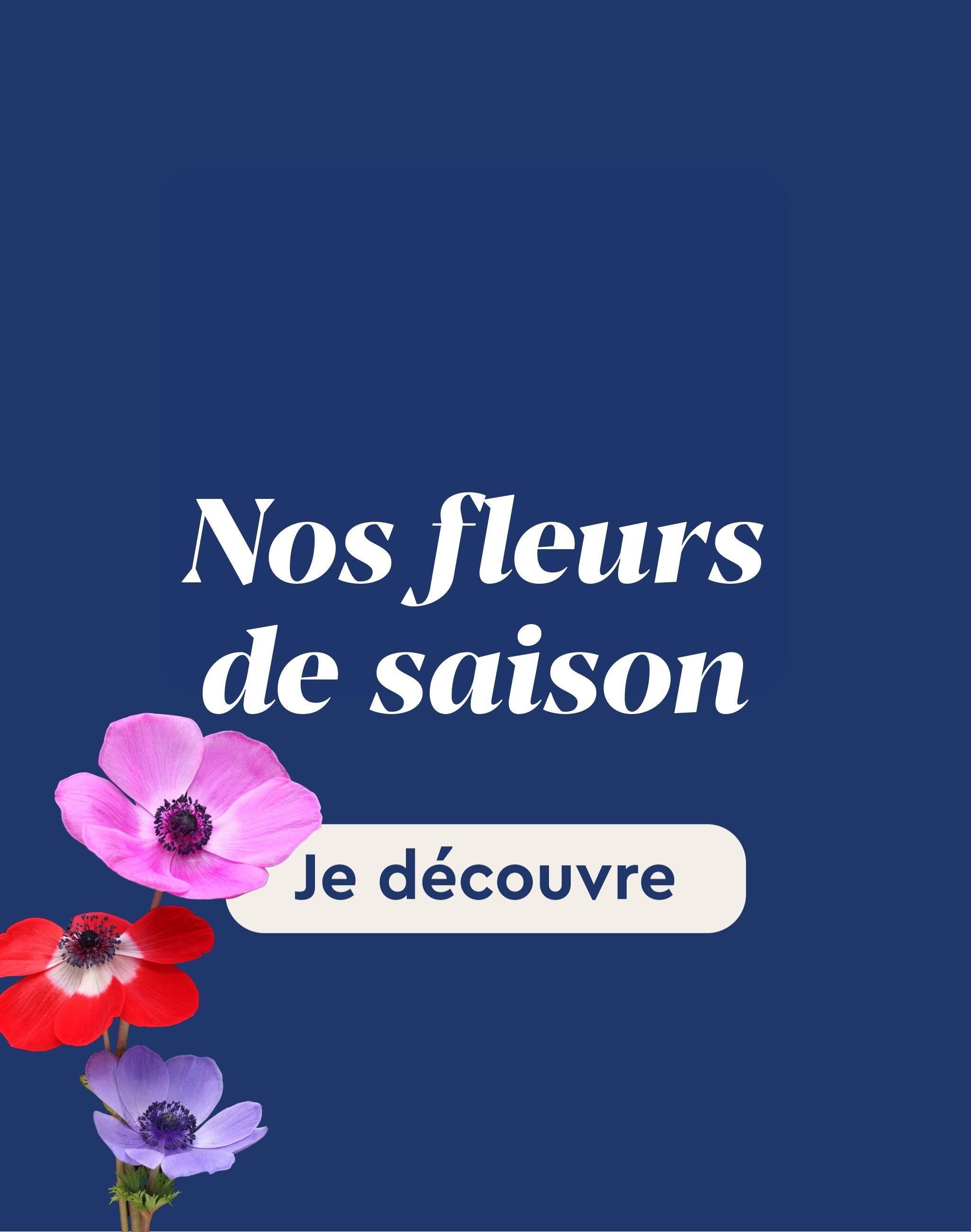 Toutes nos fleurs de saison