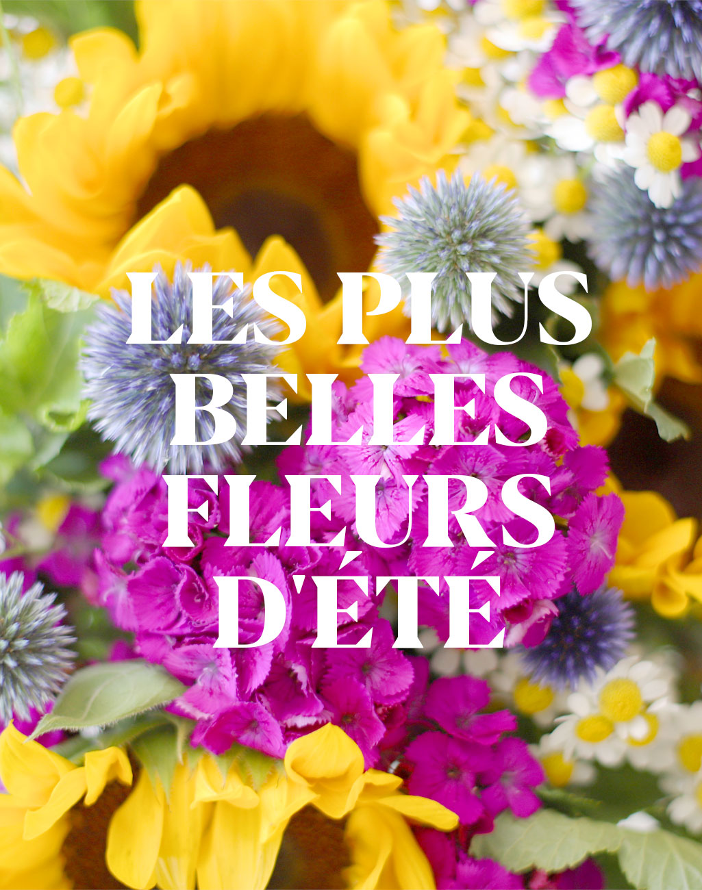 Les plus belles fleurs de France 